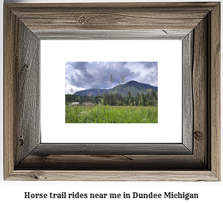 horse trail rides near me in Dundee, Michigan